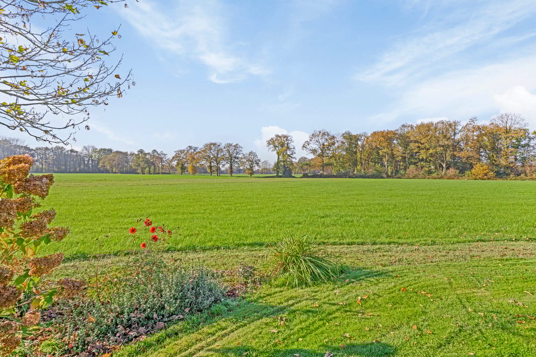 Foto 47 van Steenmorsweg 8