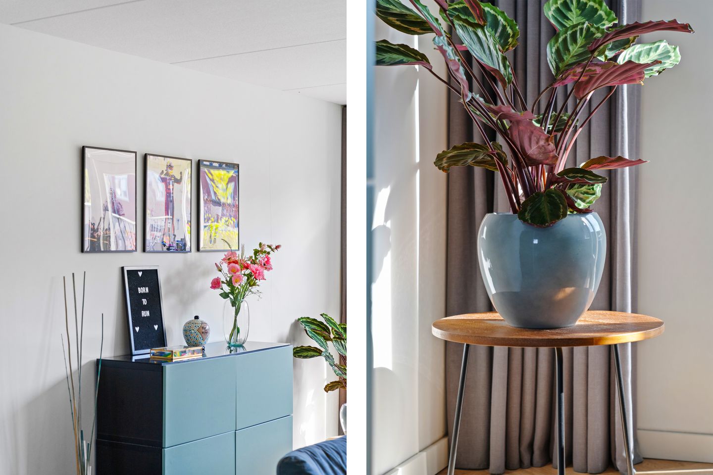 Foto 14 van Vrijenborgsedreef 14