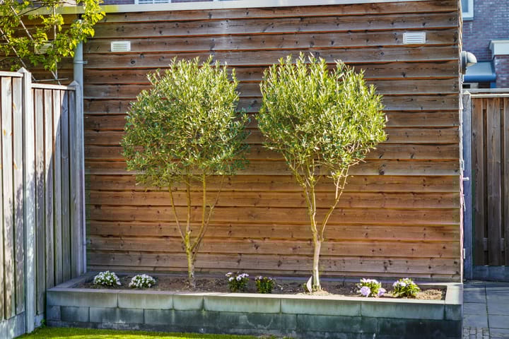 Foto 30 van Vrijenborgsedreef 14