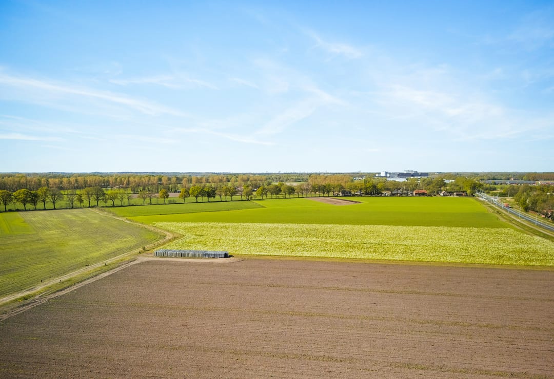 Foto 61 van Vrijenborgsedreef 14