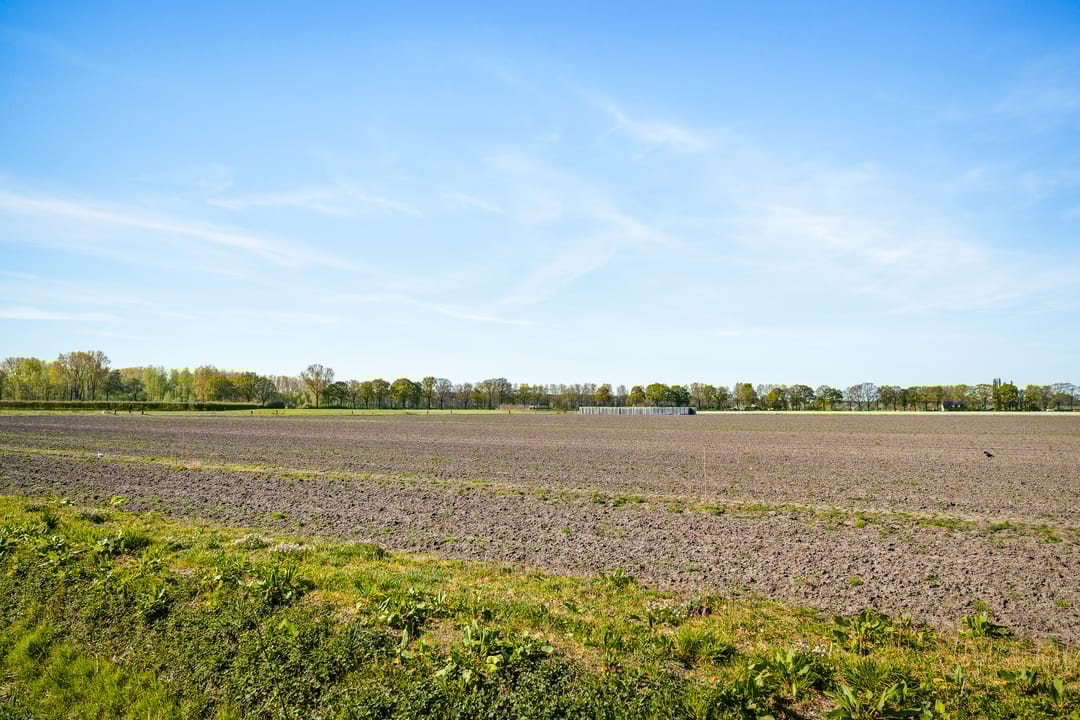 Foto 62 van Vrijenborgsedreef 14