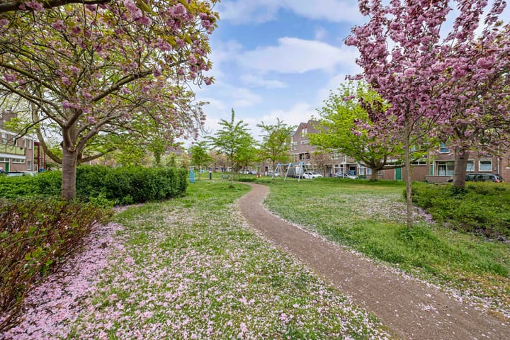 Photo 31 of Boeierstraat 27