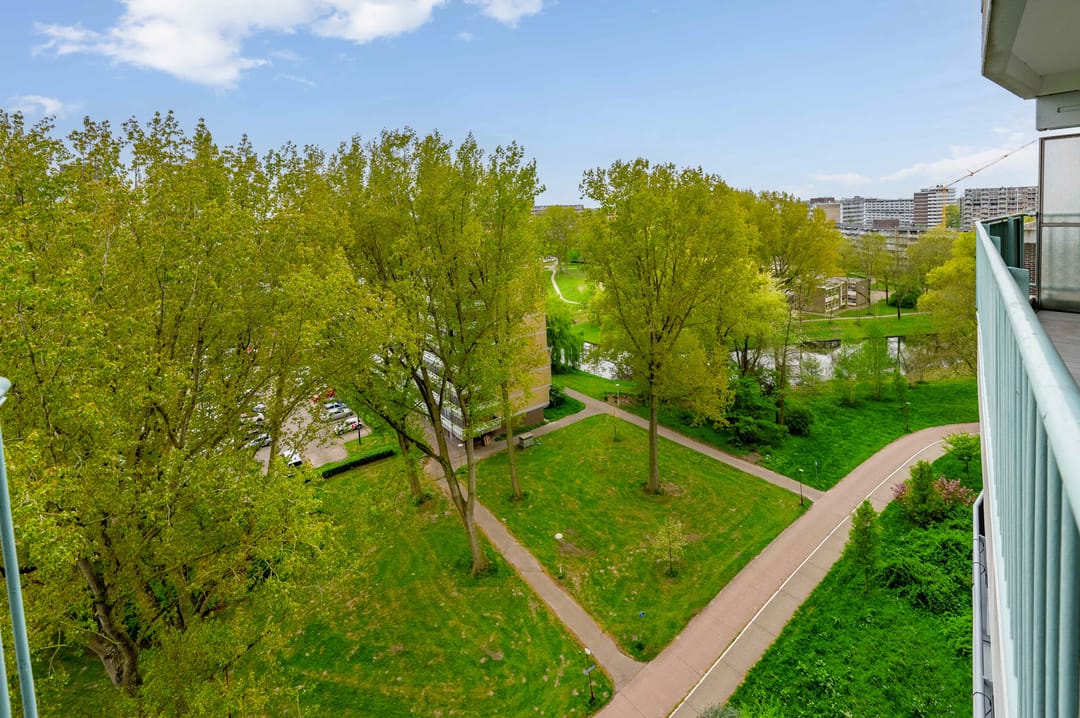 Foto 13 van Belvédèrebos 104