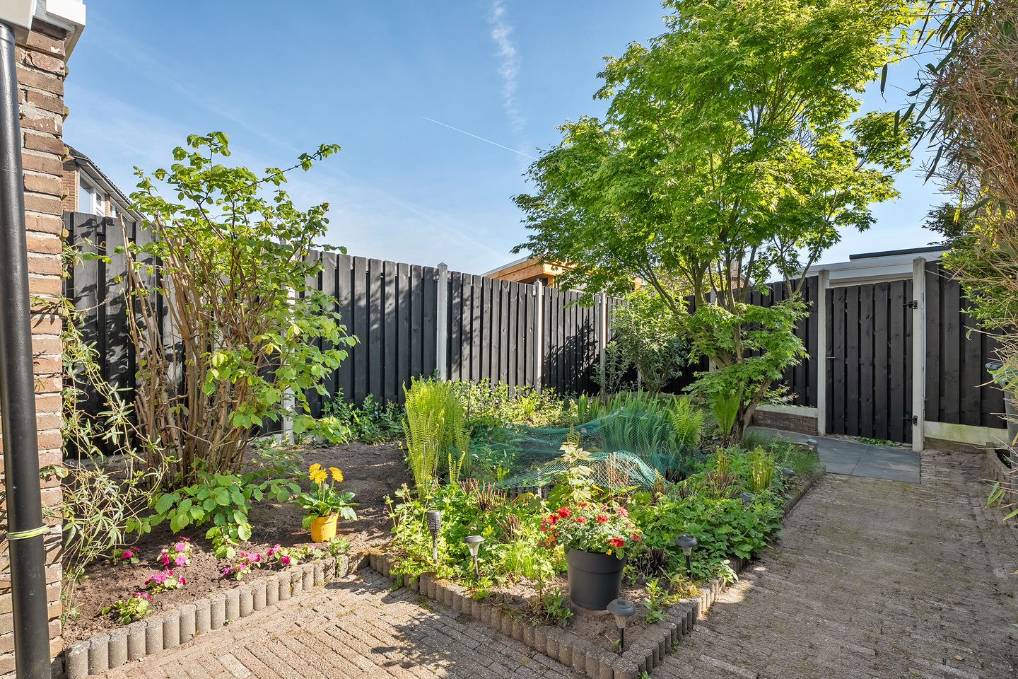 Photo 25 of Van Hallstraat 2