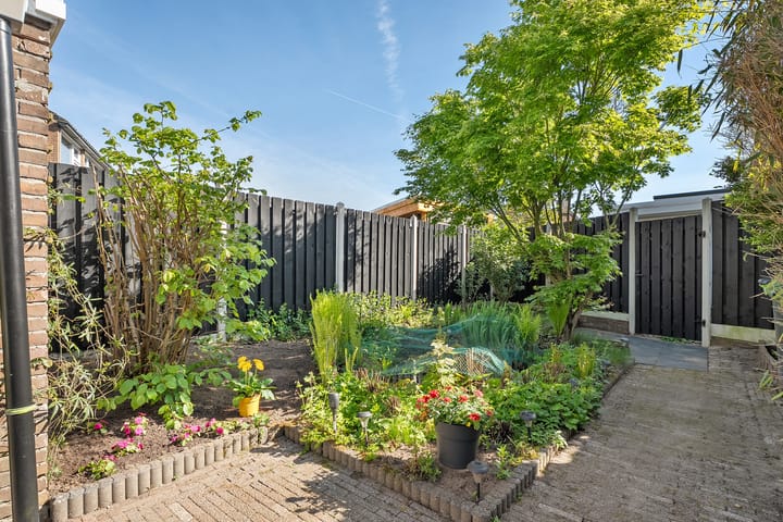 Foto 25 van Van Hallstraat 2