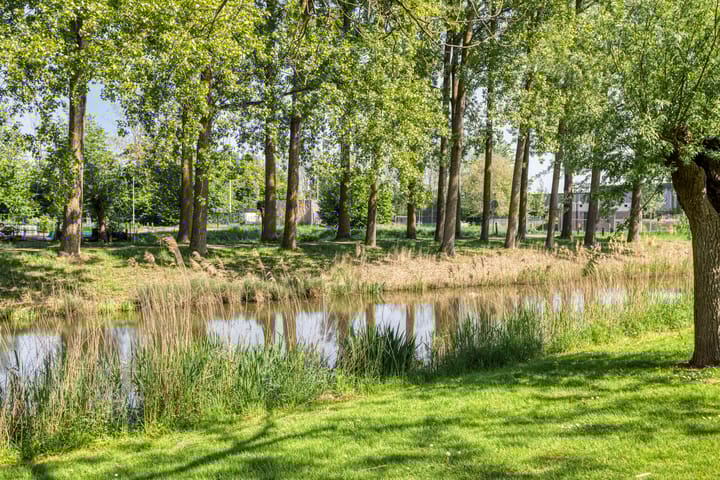 Foto 27 van Bouwensland 40