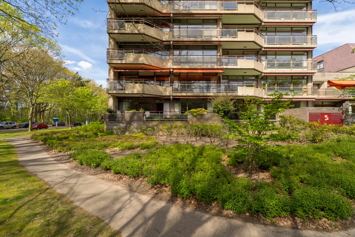 Foto 1 van Professor Cobbenhagenlaan 702