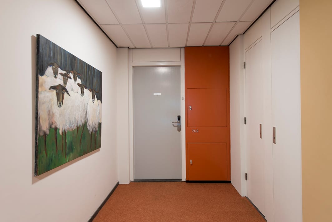 Foto 6 van Professor Cobbenhagenlaan 702