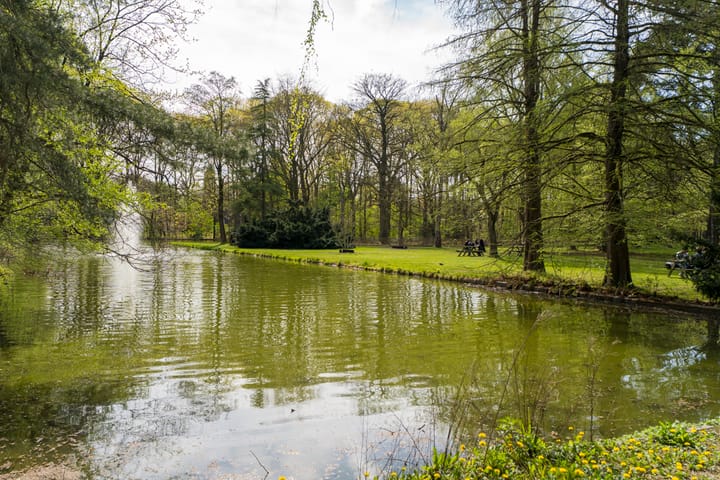 Foto 24 van Professor Cobbenhagenlaan 702