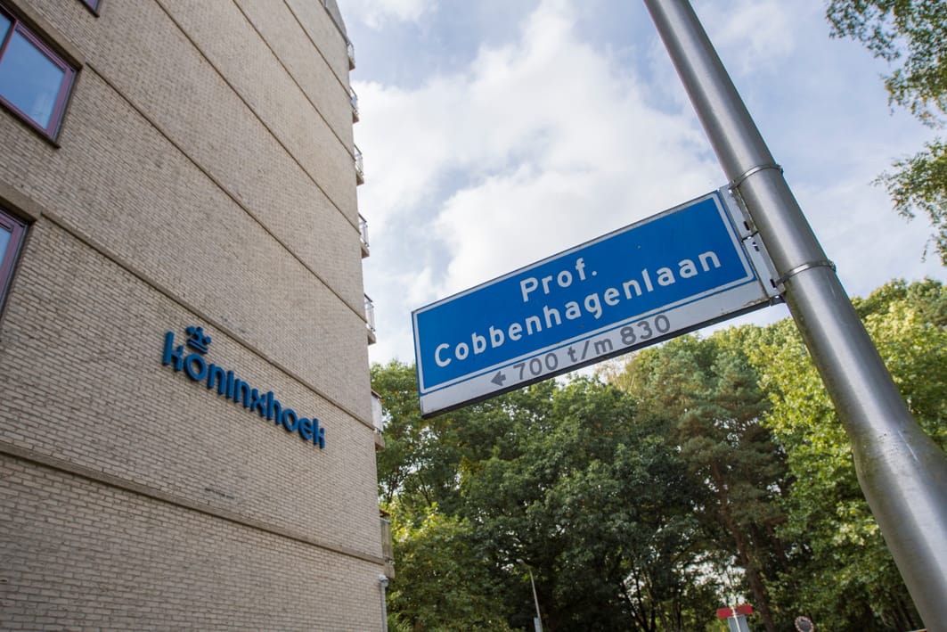 Foto 27 van Professor Cobbenhagenlaan 702