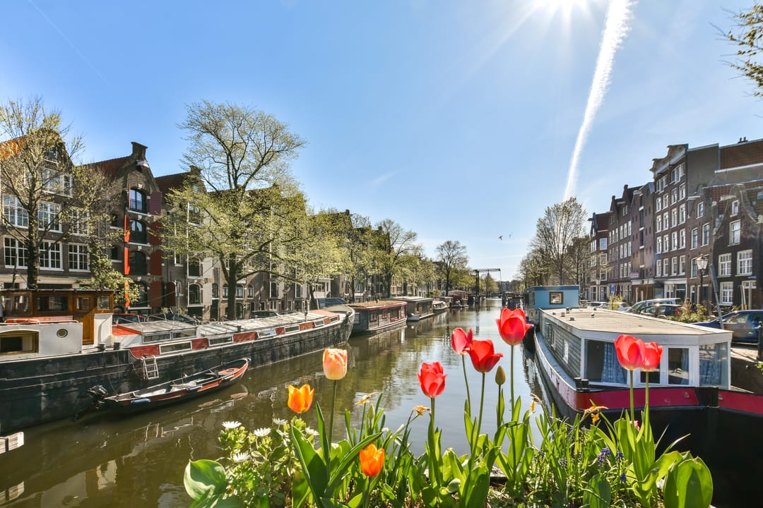 Foto 16 van Palmgracht 4-1