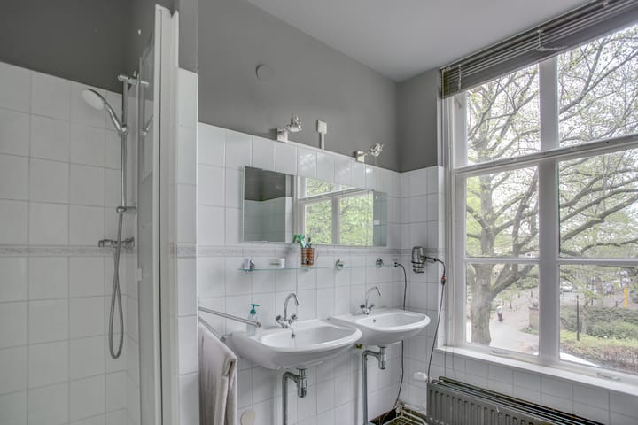 Foto 21 van Beetslaan 251-E