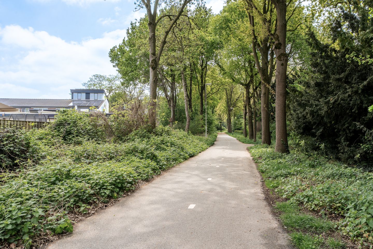 Photo 29 of Arenberglaan 300