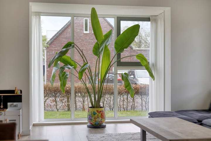 Foto 10 van Kluft 20