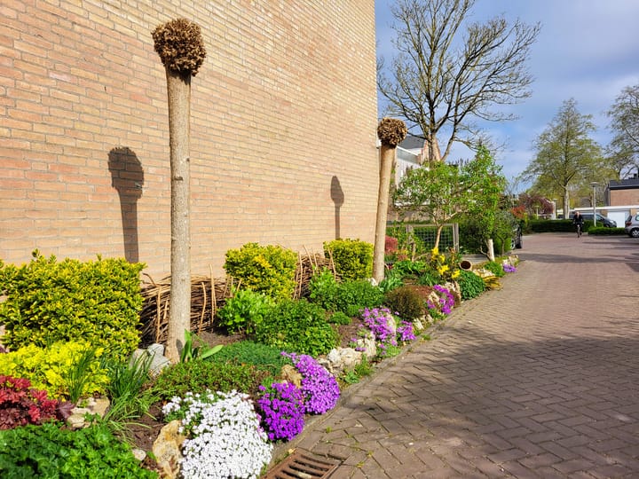 Foto 13 van Turfschip 249