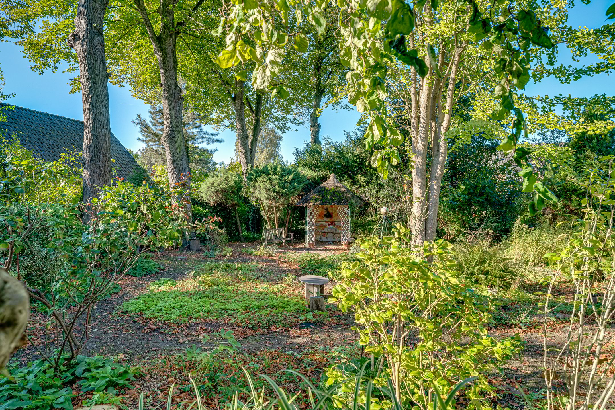 Foto 63 van Polderdijk 89