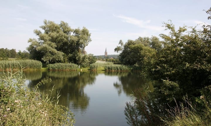 Photo 68 of Polderdijk 89