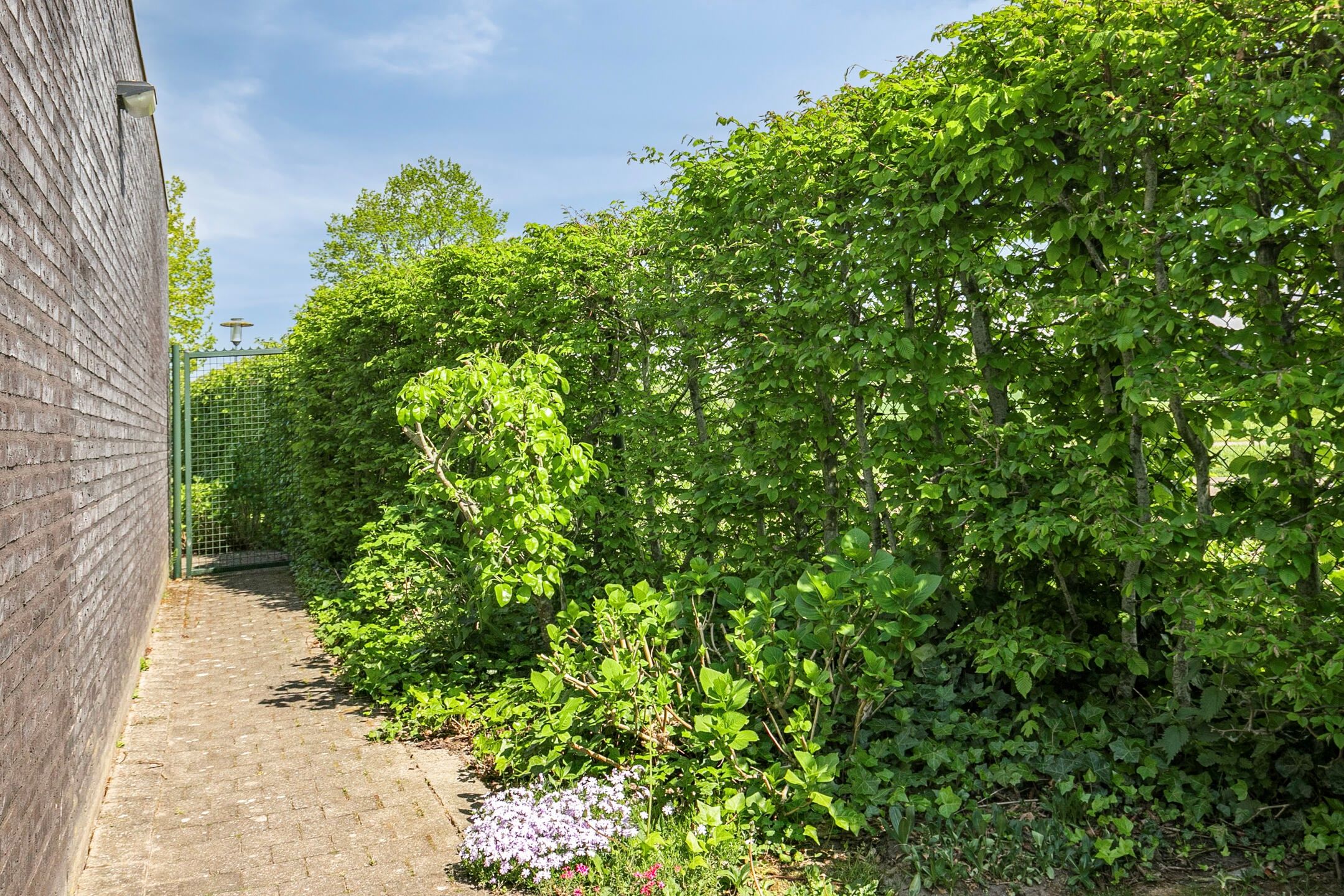 Foto 33 van Livingstonestraat 130