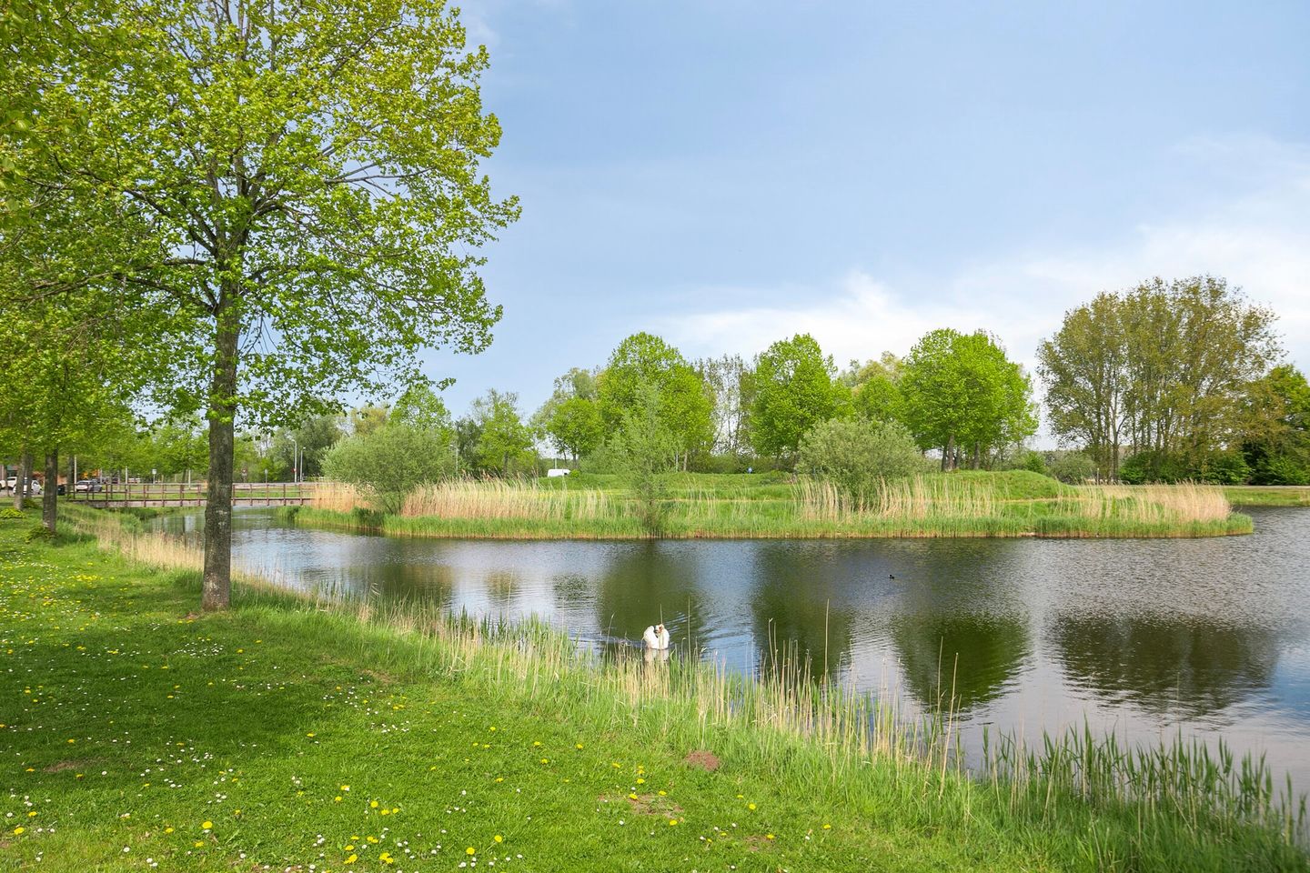 Foto 35 van Livingstonestraat 130