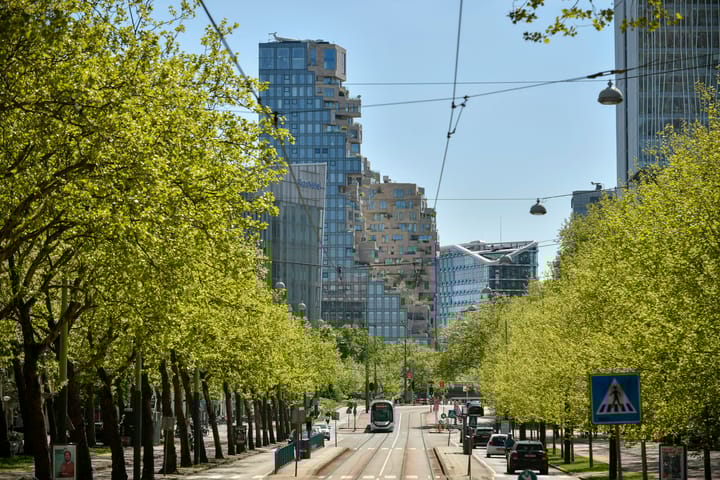 Foto 2 van Beethovenstraat 145-1