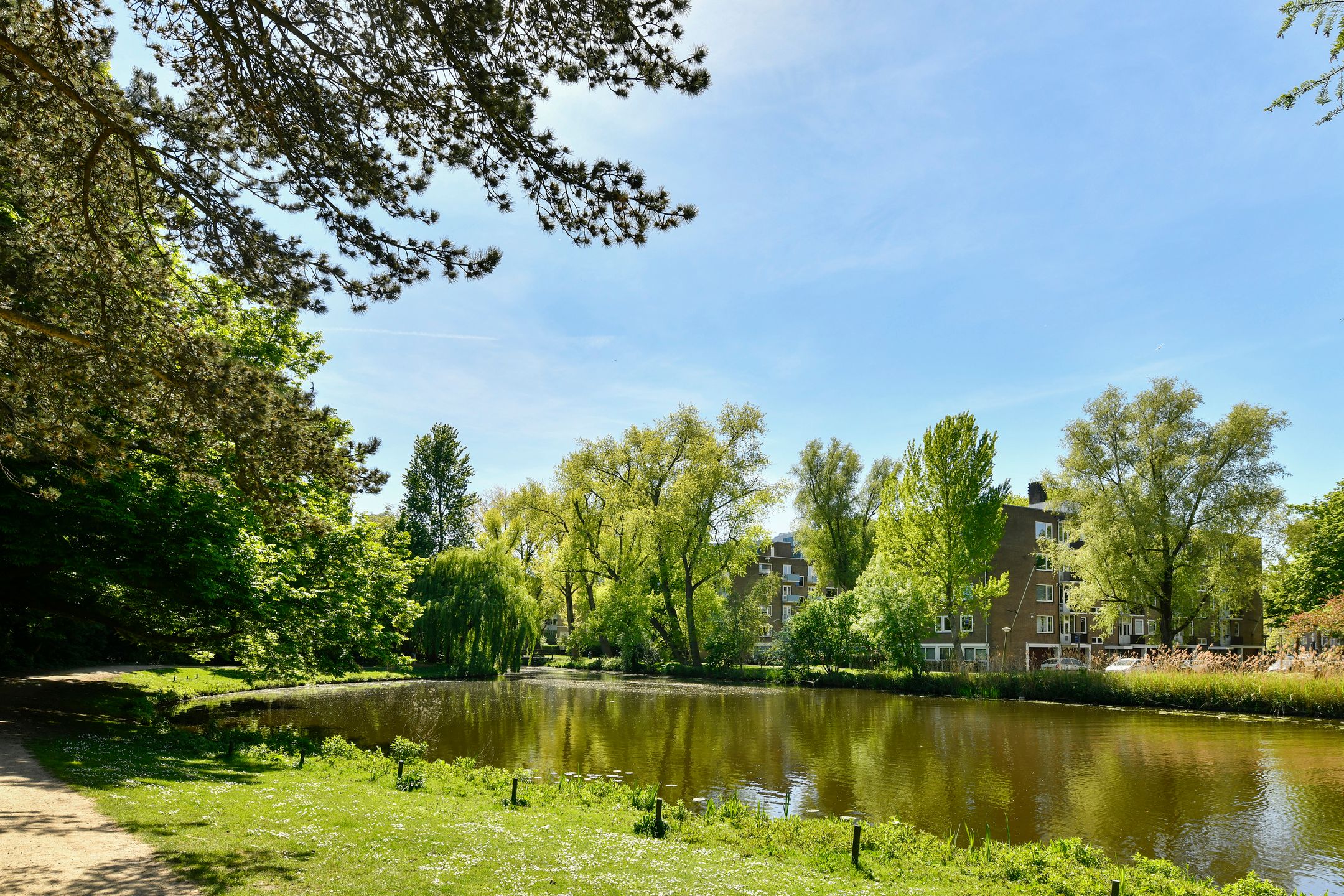 Foto 3 van Beethovenstraat 145-1