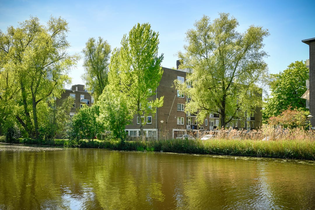 Foto 38 van Beethovenstraat 145-1