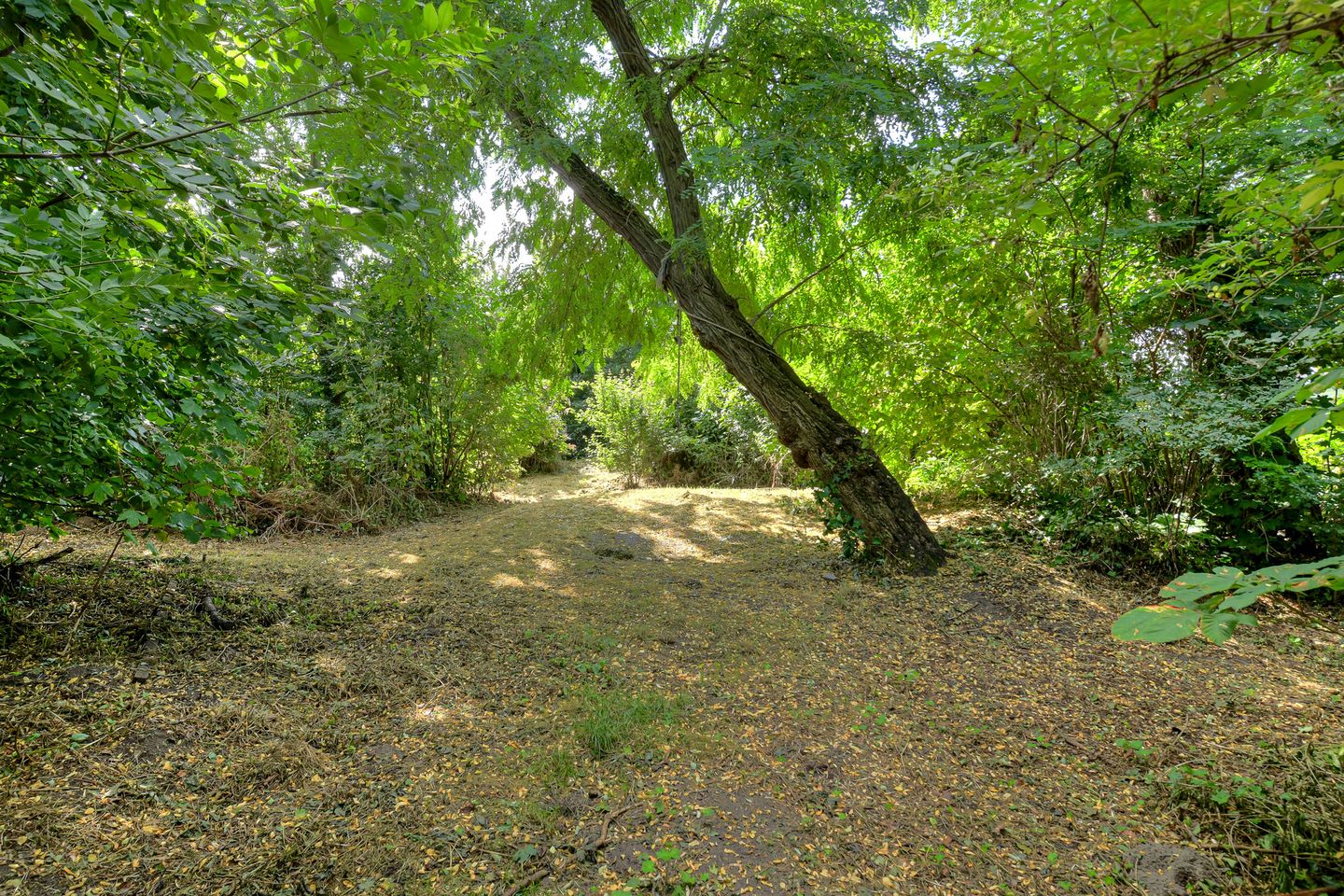 Photo 34 of Reigerstraat 22