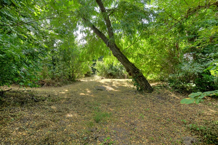 Foto 34 van Reigerstraat 22