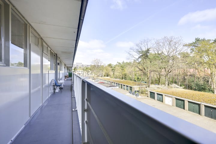 Foto 5 van Anna Paulownalaan 58