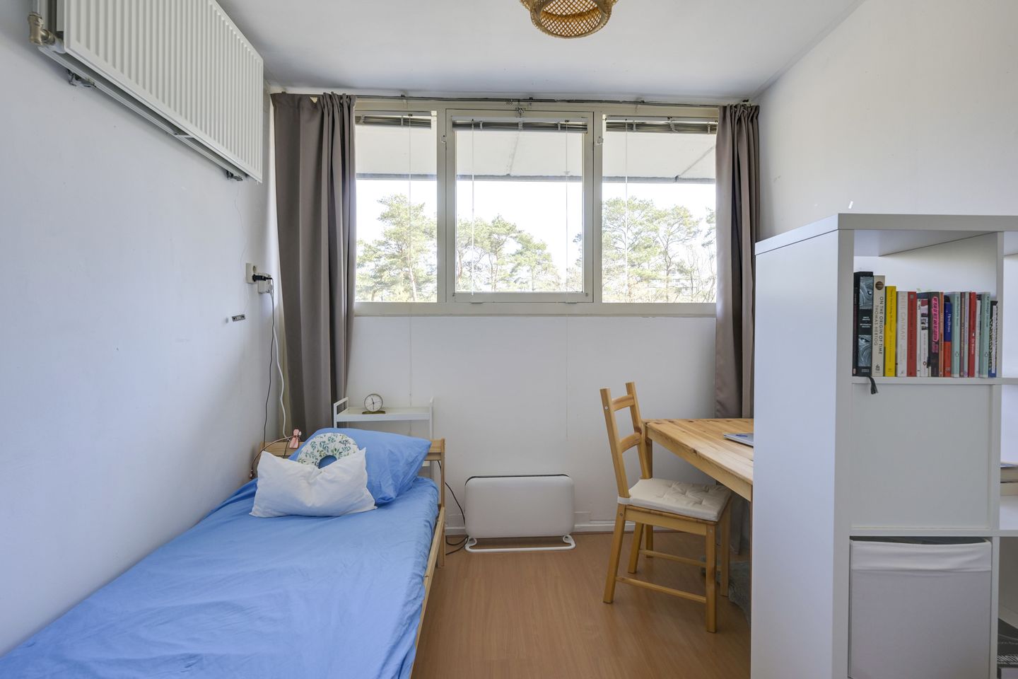 Foto 20 van Anna Paulownalaan 58