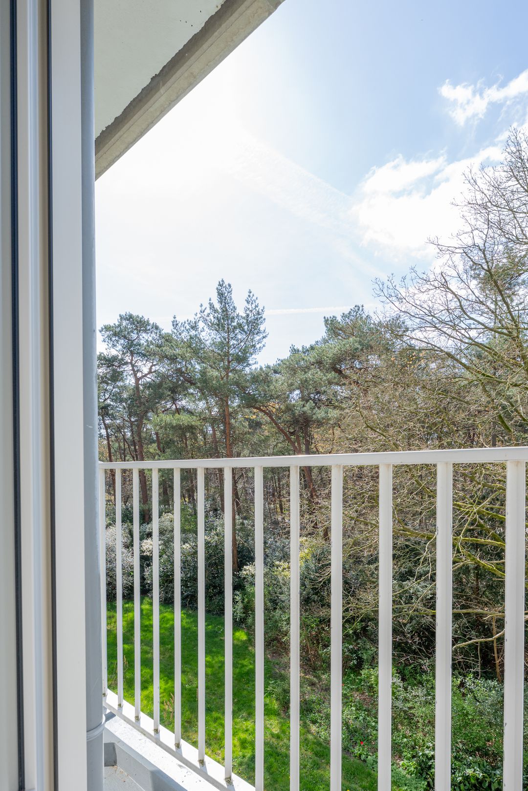 Foto 26 van Anna Paulownalaan 58