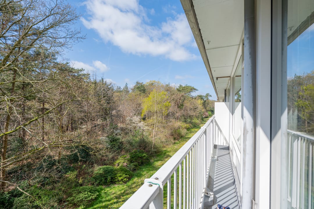 Foto 28 van Anna Paulownalaan 58