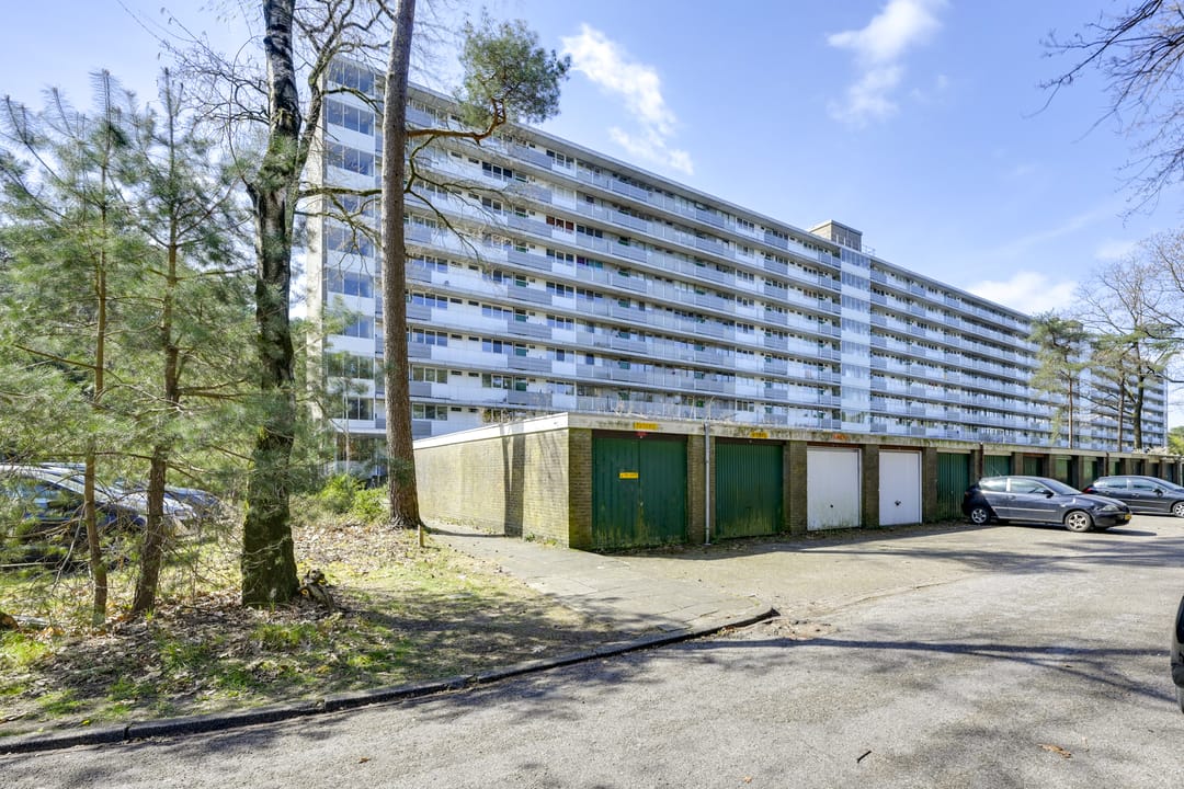 Foto 31 van Anna Paulownalaan 58