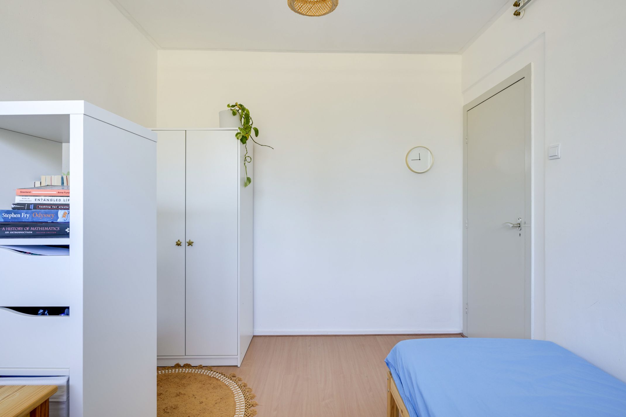 Foto 21 van Anna Paulownalaan 58