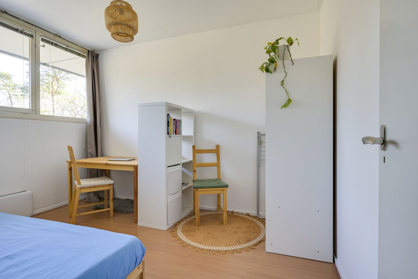 Foto 19 van Anna Paulownalaan 58