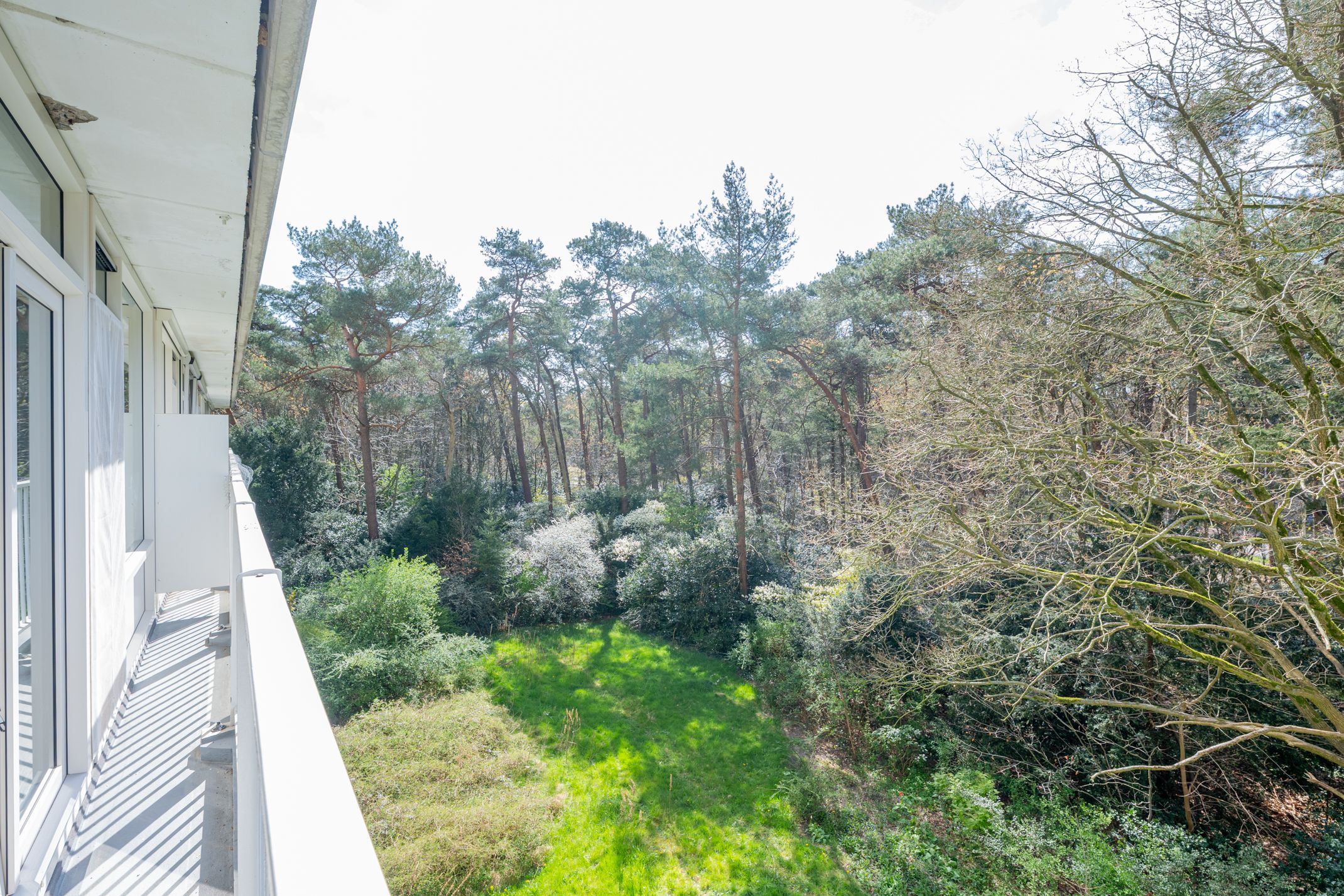 Foto 27 van Anna Paulownalaan 58