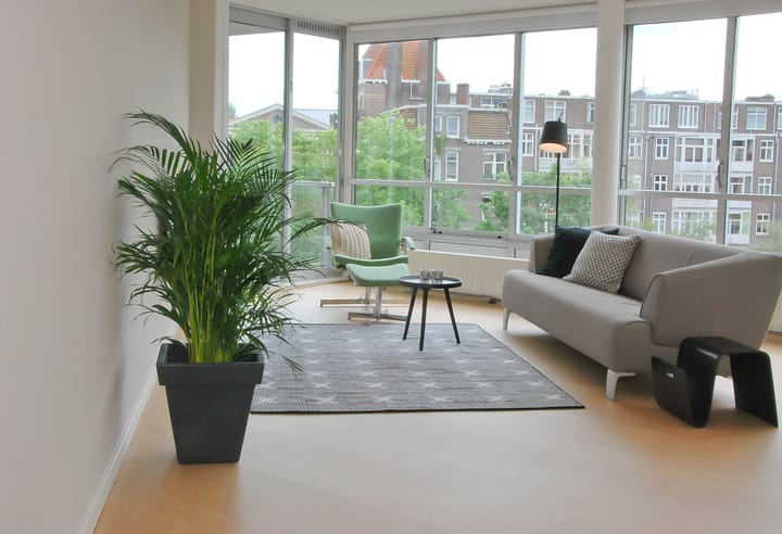 Photo 2 of Plantage Muidergracht 140