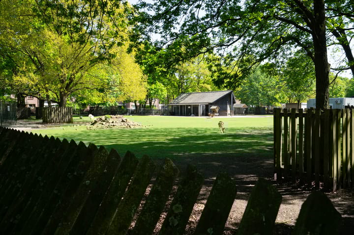 Foto 41 van Betuwehof 30