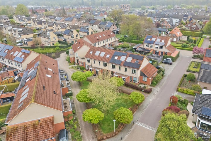 Foto 4 van Paulus Potterstraat 6