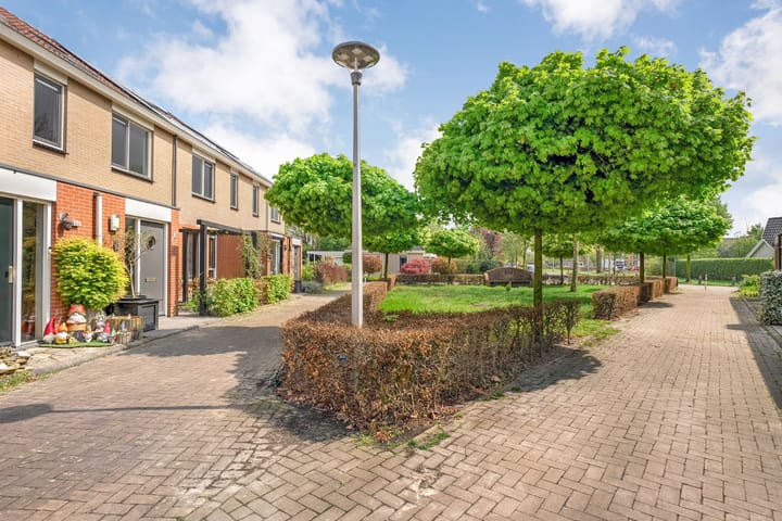 Foto 6 van Paulus Potterstraat 6