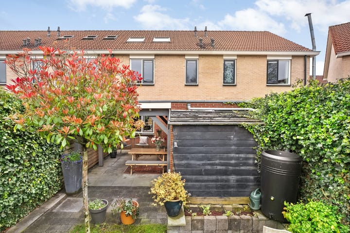 Foto 47 van Paulus Potterstraat 6