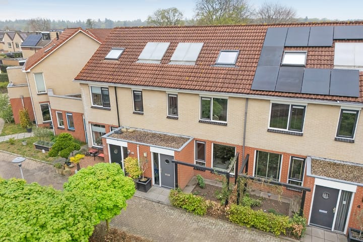 Foto 61 van Paulus Potterstraat 6