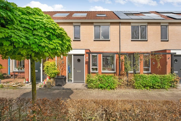 Foto 64 van Paulus Potterstraat 6