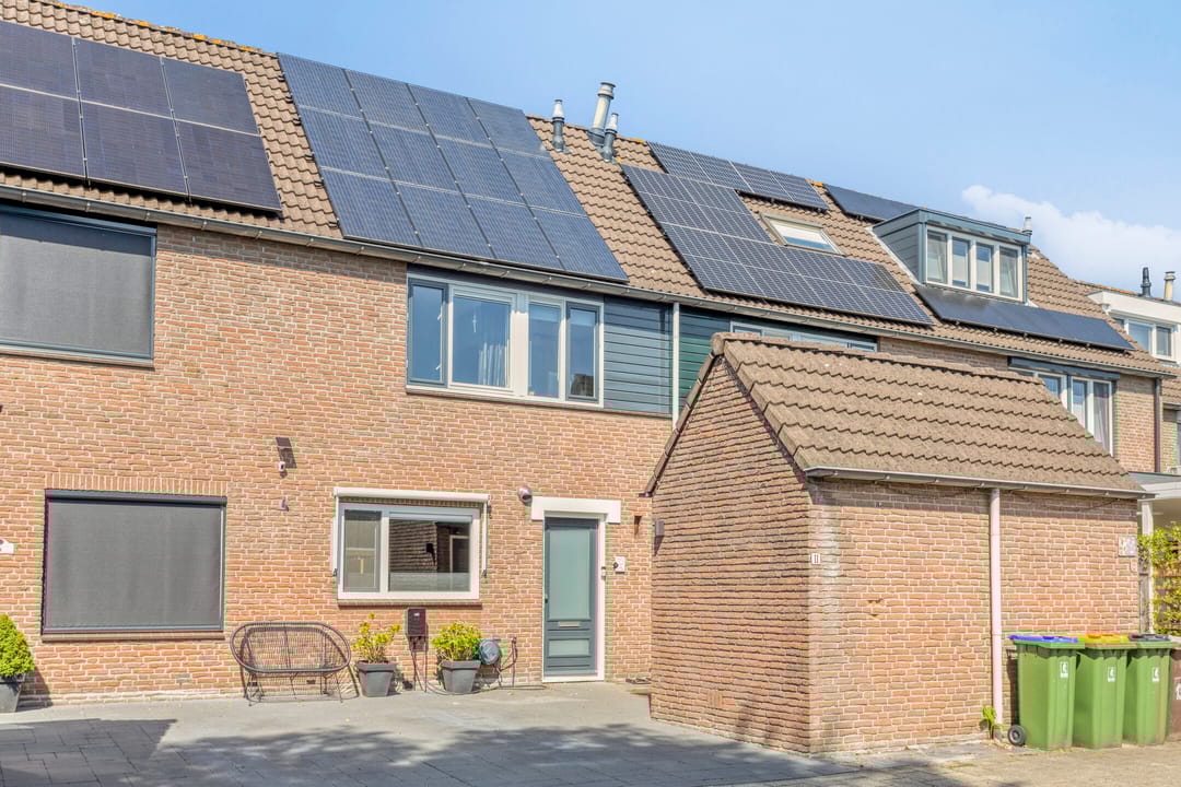 Foto 1 van Prunus 11