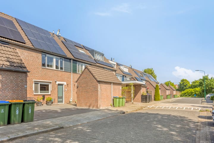 Photo 6 of Prunus 11