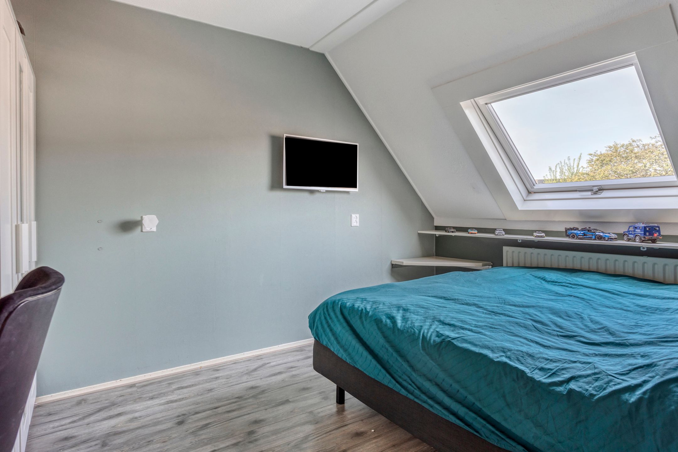 Foto 15 van Prunus 11