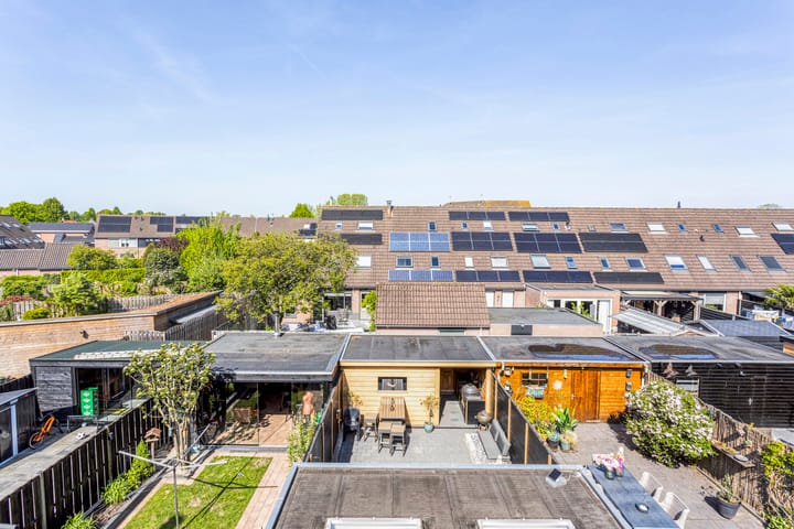 Photo 19 of Prunus 11