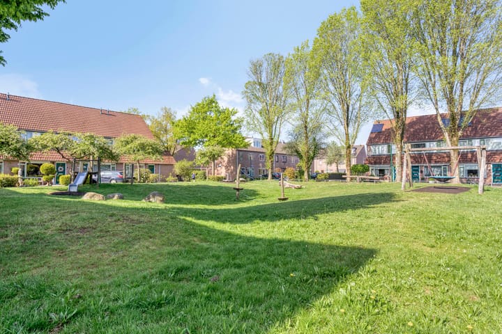 Photo 23 of Prunus 11