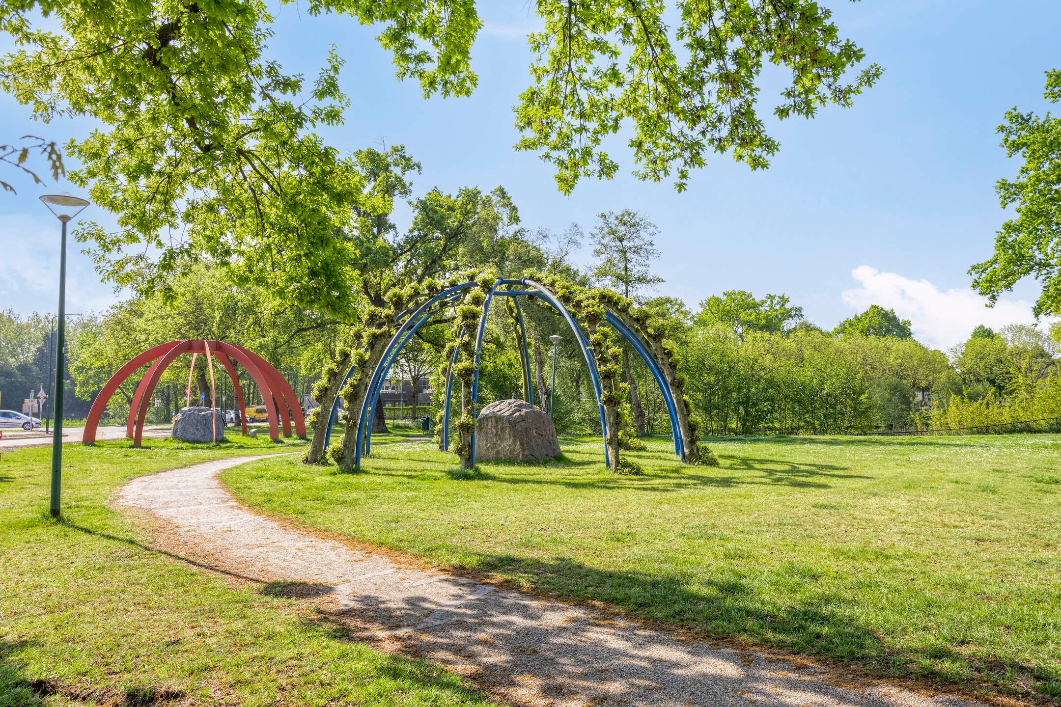 Foto 24 van Prunus 11