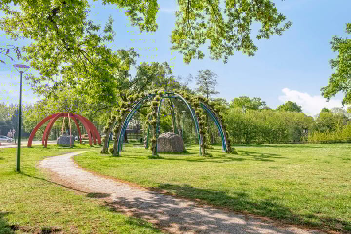 Photo 24 of Prunus 11